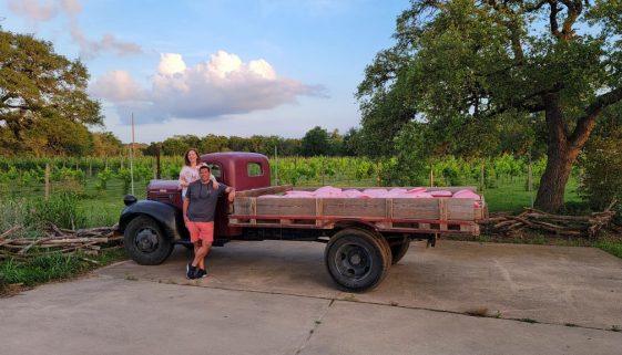 Fall Creek Vineyards